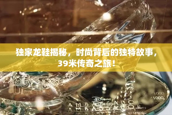 獨家龍鞋揭秘，時尚背后的獨特故事，39米傳奇之旅！