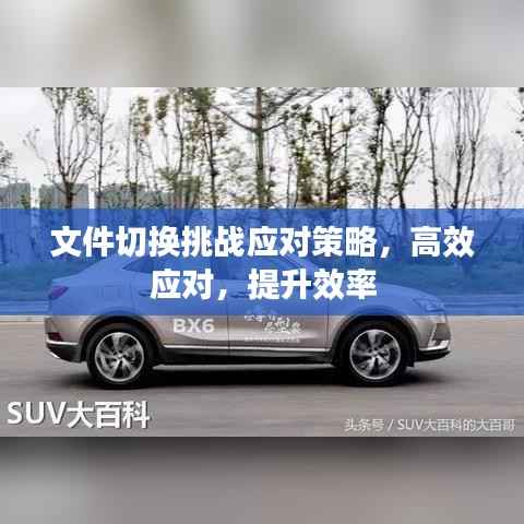 文件切換挑戰應對策略，高效應對，提升效率