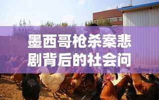 墨西哥槍殺案悲劇背后的社會問題引深思