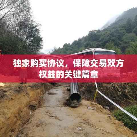 獨家購買協議，保障交易雙方權益的關鍵篇章