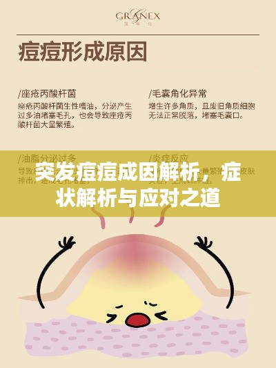 突發痘痘成因解析，癥狀解析與應對之道