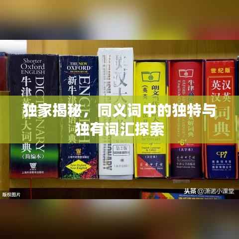 獨家揭秘，同義詞中的獨特與獨有詞匯探索