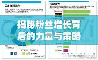 揭秘粉絲增長背后的力量與策略，揭秘背后的秘密！