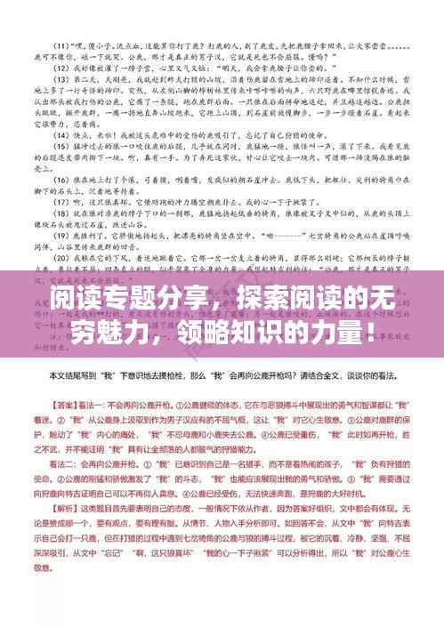 閱讀專題分享，探索閱讀的無窮魅力，領(lǐng)略知識的力量！