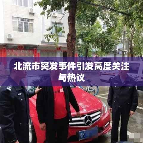 北流市突發事件引發高度關注與熱議