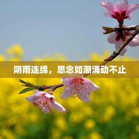 陰雨連綿，思念如潮涌動不止