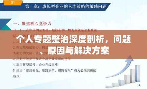 個人專題整治深度剖析，問題、原因與解決方案