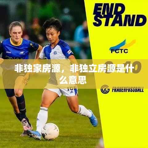 非獨家房源，非獨立房源是什么意思 