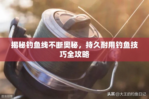 揭秘釣魚(yú)線不斷奧秘，持久耐用釣魚(yú)技巧全攻略