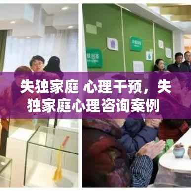 失獨(dú)家庭 心理干預(yù)，失獨(dú)家庭心理咨詢案例 