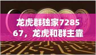 龍虎群獨家728567，龍虎和群主靠什么賺錢 