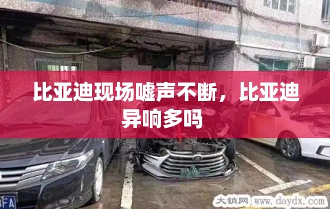 比亞迪現場噓聲不斷，比亞迪異響多嗎 