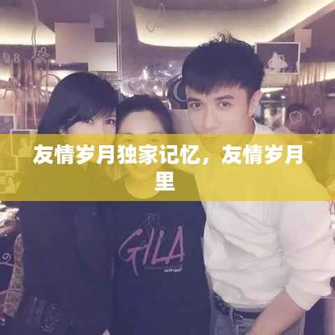 友情歲月獨家記憶，友情歲月里 