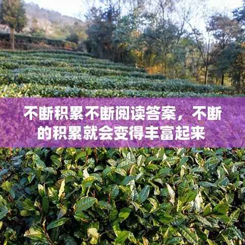 不斷積累不斷閱讀答案，不斷的積累就會變得豐富起來 