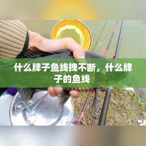什么牌子魚線拽不斷，什么牌子的魚線 