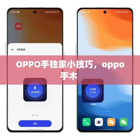 OPPO手獨家小技巧，oppo手木 