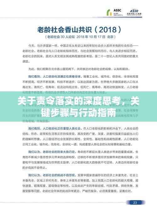 關于責令落實的深度思考，關鍵步驟與行動指南