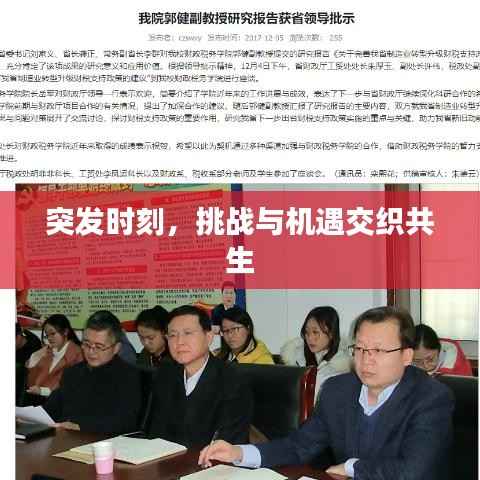 突發時刻，挑戰與機遇交織共生