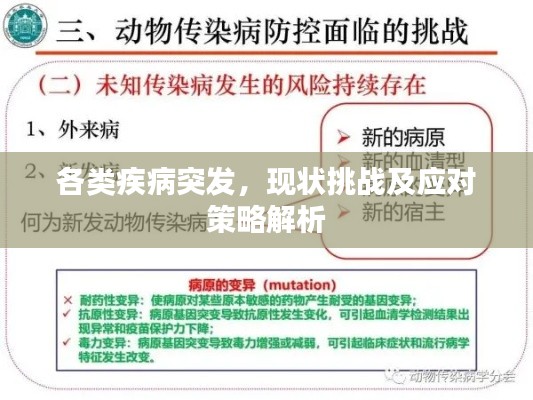 各類疾病突發，現狀挑戰及應對策略解析