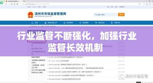 行業(yè)監(jiān)管不斷強(qiáng)化，加強(qiáng)行業(yè)監(jiān)管長效機(jī)制 