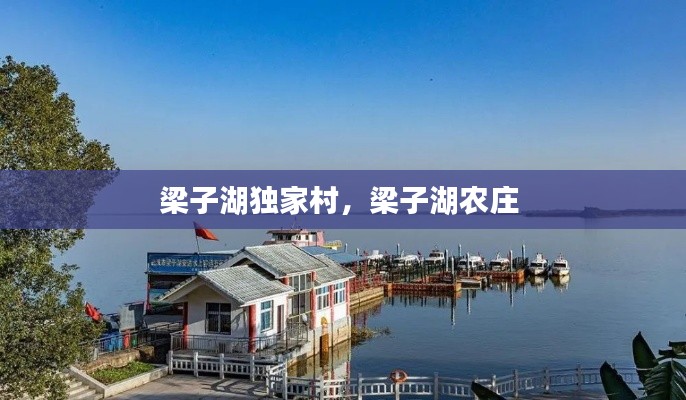 梁子湖獨家村，梁子湖農莊 