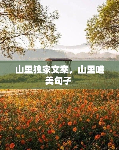 山里獨家文案，山里唯美句子 