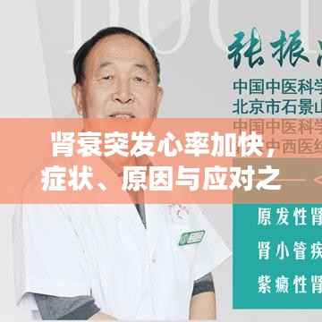 腎衰突發(fā)心率加快，癥狀、原因與應(yīng)對(duì)之策