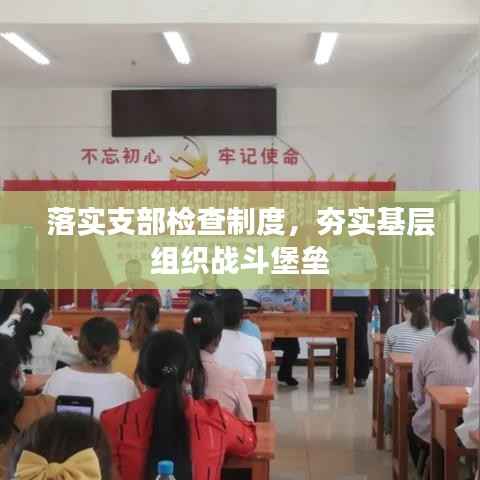 落實支部檢查制度，夯實基層組織戰斗堡壘