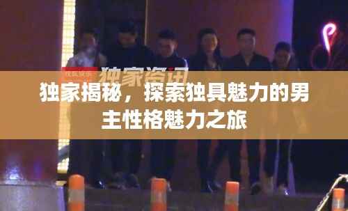 獨家揭秘，探索獨具魅力的男主性格魅力之旅