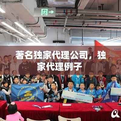 著名獨家代理公司，獨家代理例子 