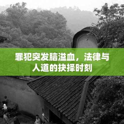 罪犯突發(fā)腦溢血，法律與人道的抉擇時刻