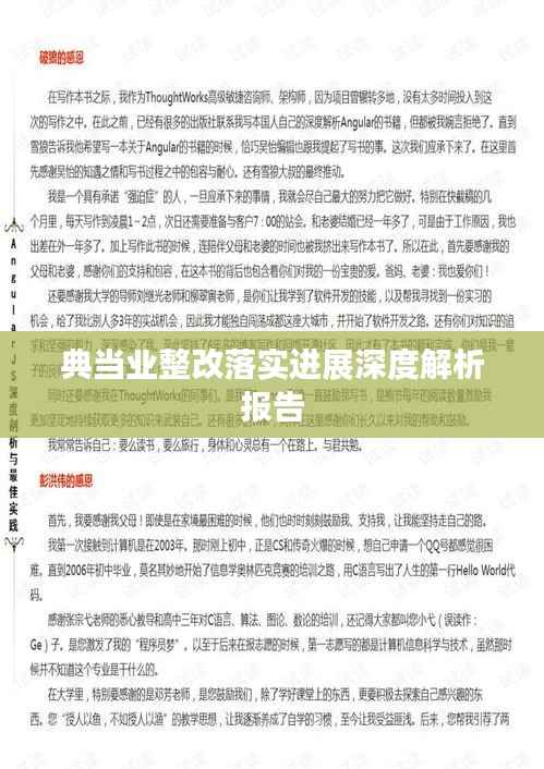 典當業(yè)整改落實進展深度解析報告