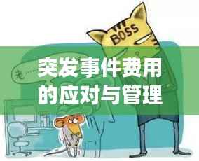 突發(fā)事件費(fèi)用的應(yīng)對(duì)與管理，核心價(jià)值與不可忽視的重要性
