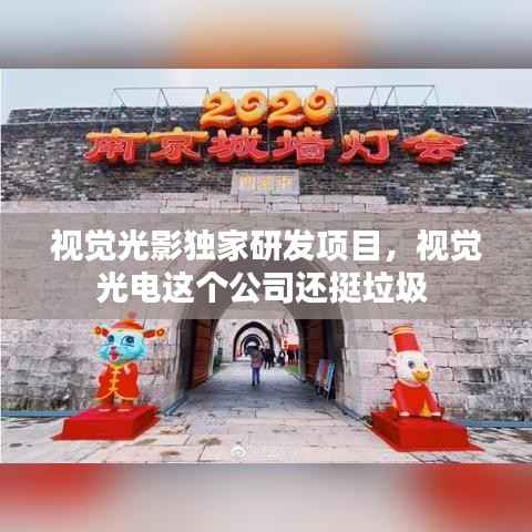 視覺光影獨家研發項目，視覺光電這個公司還挺垃圾 