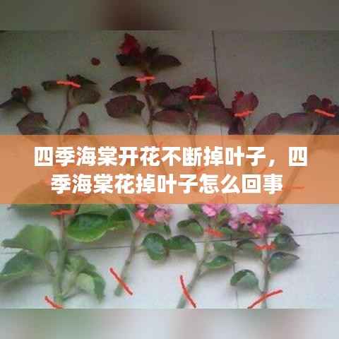 越鳥南棲 第5頁