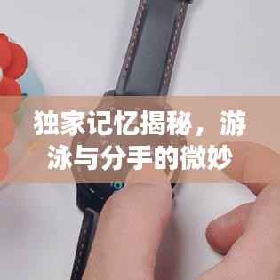 獨(dú)家記憶揭秘，游泳與分手的微妙交織