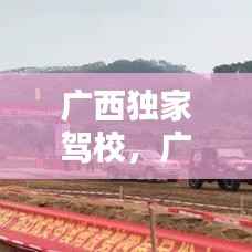 廣西獨家駕校，廣西正規駕校名單 