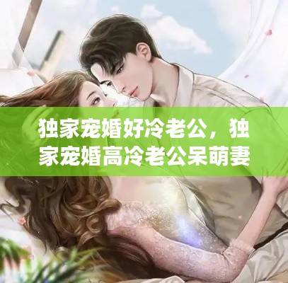獨家寵婚好冷老公，獨家寵婚高冷老公呆萌妻 