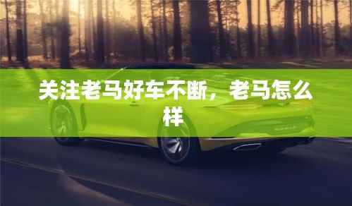 關注老馬好車不斷，老馬怎么樣 