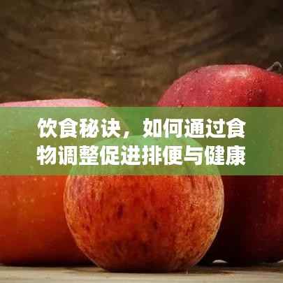 飲食秘訣，如何通過食物調整促進排便與健康生活關聯？