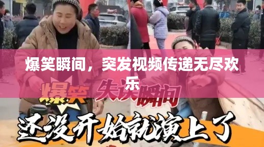 爆笑瞬間，突發視頻傳遞無盡歡樂