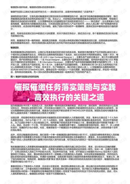 催報(bào)催繳任務(wù)落實(shí)策略與實(shí)踐，高效執(zhí)行的關(guān)鍵之道