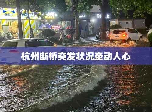 杭州斷橋突發(fā)狀況牽動人心