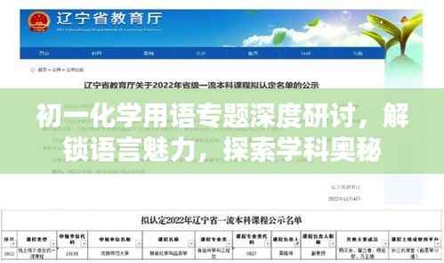 初一化學用語專題深度研討，解鎖語言魅力，探索學科奧秘