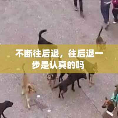 不斷往后退，往后退一步是認真的嗎 