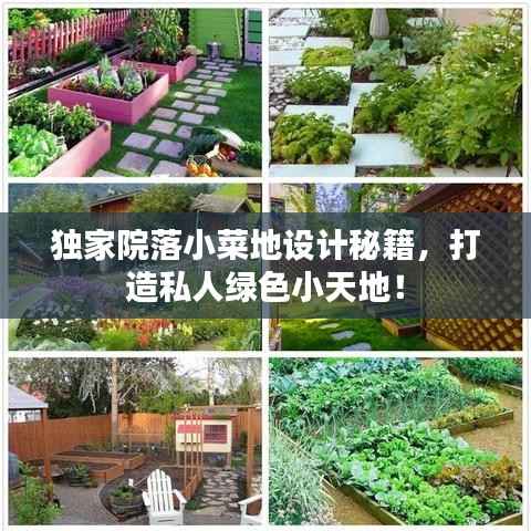 獨家院落小菜地設(shè)計秘籍，打造私人綠色小天地！