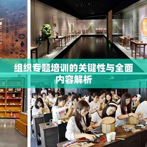 組織專題培訓的關鍵性與全面內容解析