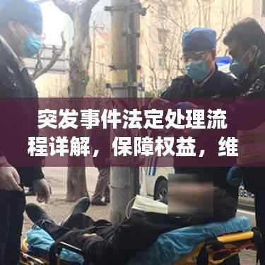 突發事件法定處理流程詳解，保障權益，維護秩序的關鍵步驟