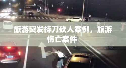 旅游突發持刀砍人案例，旅游傷亡案件 