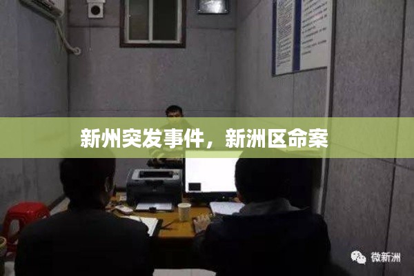 新州突發事件，新洲區命案 